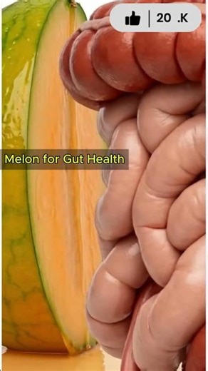 Melon vs. Gut Health