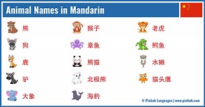 Animal Names in Mandarin
