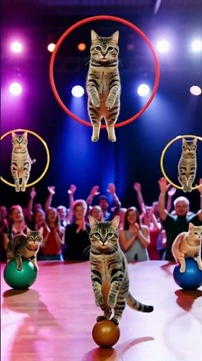 The Savitsky Cats Are Back! 😻 Super Trained Cats Steal the Show! #Shorts #cat #catcomedy
