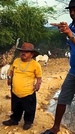 Clube do Tiringa on Reels