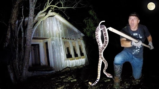 Texas Metal Detecting: One Man’s Trash, Another Man’s Snake Bite Waiting to Happen