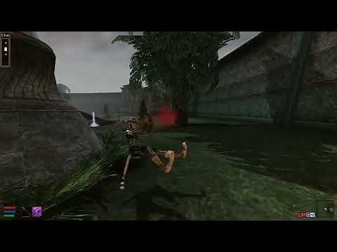 ReAnimations - first-person, TES3: Morrowind (OpenMW) mod