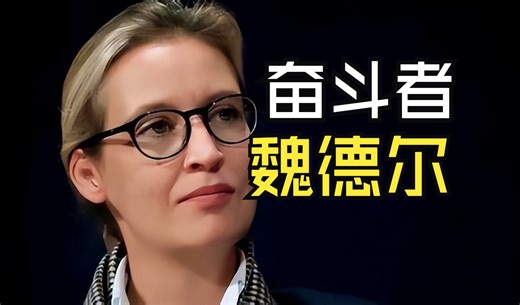 奋斗者 魏德尔 「SSR」