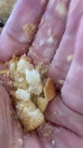 Crust Interface Experiment — Elastic Matrix Observation #diy #papiermache #mask