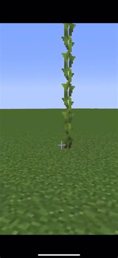 Explore Minecraft Scenes with Cacti, Animals, and Crafting