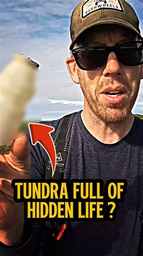 The Weirdest Finds in Alaska’s Tundra