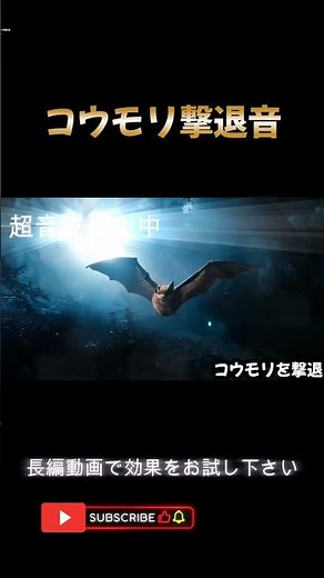 たった数秒でコウモリ撃退！超音波＆外敵の鳴き声で簡単に撃退 #コウモリ撃退 #コウモリ対策 #低周波