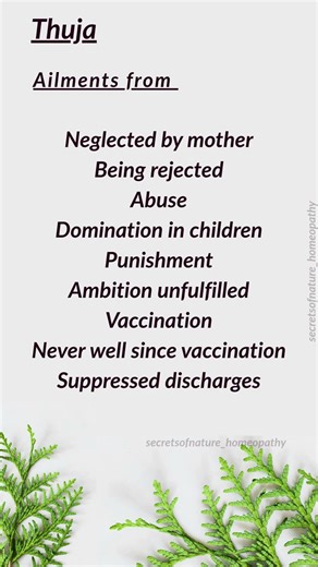 Thuja - Homeopathy medicine