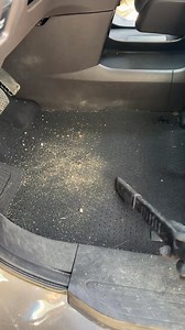 115K views · 1.6K reactions | Just me, my sponge, and my car 什 #clean #cars #asmr | Sleek.auto.detail | Facebook