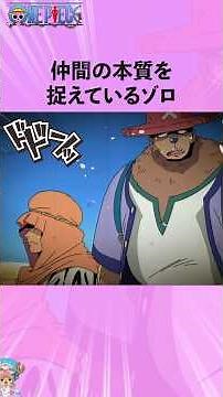 仲間の本質を捉えているゾロ #onepiece #ワンピース #アニメ #雑学