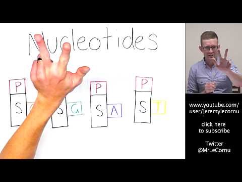 What is RNA?