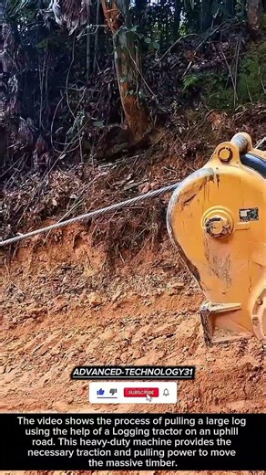 Powerful Machine Pulling Massive Logs Up a Steep Road !! #innovation #tool #ideas
