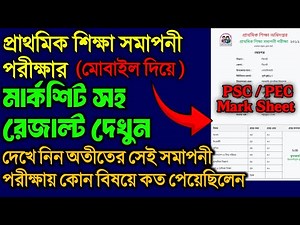 সমাপনী পরীক্ষার মার্কশিট সহ রেজাল্ট দেখবেন যেভাবে | PEC Mark Sheet by mobile in 2025 | PSC Marksheet
