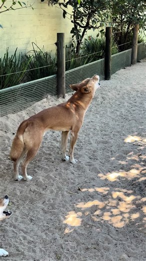 Christopher Anderson (@christopheranders17)’s videos with original sound - Christopher Anderson