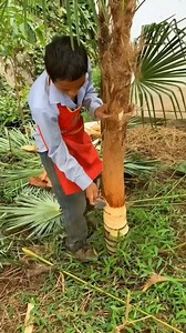 "Coconut Tree Bark Used to Make Durable Shoes in Thailand" #CoconutBark #SustainableFashion #Footwear #ThailandCraft #EcoFriendly | Satisfying Videos