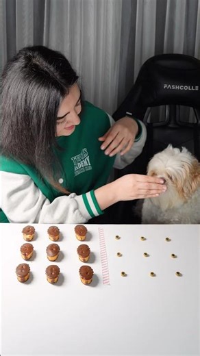 This Was NOT Supposed to Happen… 😳🐶