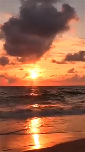 Ocean meme on Instagram: "A bit more salt 😂 . Follow @ocean_meme09 for more 🌊 #oceanmeme #memes #tiktok #instagram #fyp #funny #explorepage #tiktokmemes #viralmeme #reelsinstagram"