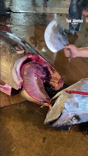 Tuna master breaks down giant bluefin with the sharpest knife #BluefinTuna #KnifeSkills #SushiArt
