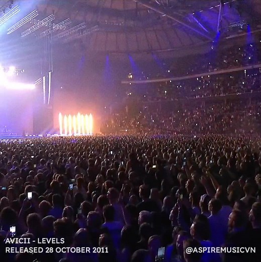 Levels - Avicii Tribute Concert #lyrics #music #fyp #aspiremusicvn