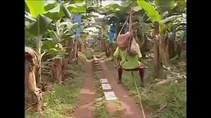 447K views · 940 reactions | Cambodia Agriculture and Environment on Reels | Facebook