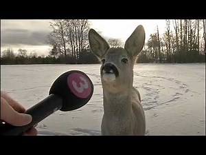 1 Hour of Bleep Censor