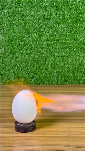 Egg vs Fire Burner 🔥🥚