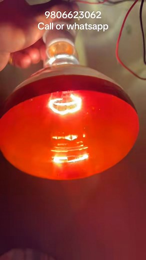 9806623062/9865311478 Infrared brooding/heating bulb/gas brooder/electric brooder/thermometer/switchholder top model bulb(heavy duty type) 250 watt/ 375 watt bulb available with holder रातो र सेतो दुबै कलर 5-6 बर्ष मज्जाले टिक्ने Brooding गर्नको लागि तातो दिने, चल्ला को मृत्यु दर घटाउने , रोग लाग्न बाट जोगाउने होलसेलको लागि सिधा सम्पर्क गर्नु होला ! Kathmandu balaju and pokhara cauthey All nepal delivery पसल र online delivery दुबै हुन्छ Infrared bulb चाहिन्छ भने आफ्नो quantity, ठेगाना र नम्बर पठ