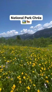 330K views · 14K reactions | National Park Chréa ️ . #viaggio #natura #cavallomurgese | Map Of Algeria | Facebook