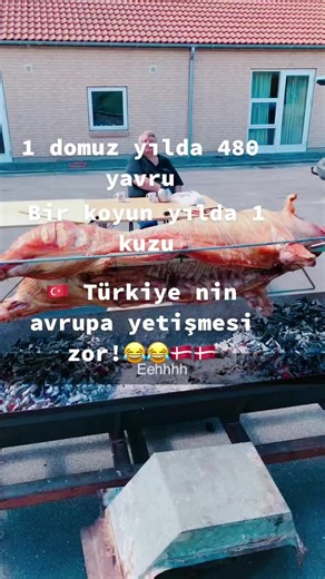 Roasting a Whole Pig Over an Open Fire