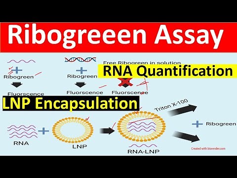 Ribogreen Assay- RNA quantification | Ribogreen Assay Encapsulation (for beginners) |