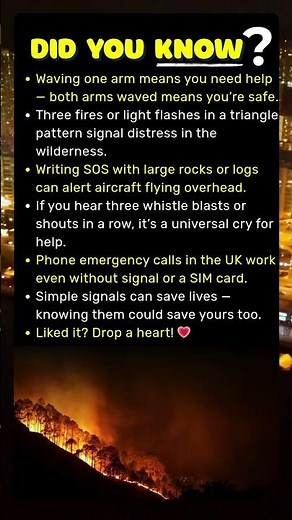 Emergency Codes and Survival Signs Everyone Should Know