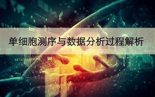 单细胞测序实验与数据分析过程解析（上）----单细胞多组学巡回论坛研讨会