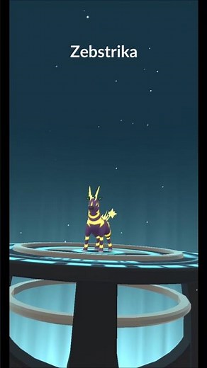 Evolved Blitzle into SHINY Zebstrika in Pokemon GO! ⚡🦓 #Shorts #Zebstrika #PokemonGO