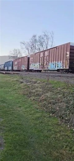 CN ES44AC with a manifest train Agassiz BC January 24, 2026