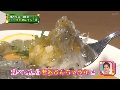 【特集】絶品！生しらすグルメを堪能！夏の淡路島をドライブ旅