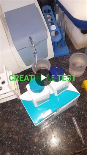 Creatinine Testing: Understanding the Laboratory Procedure | Dalya Medhat posted on the topic | LinkedIn