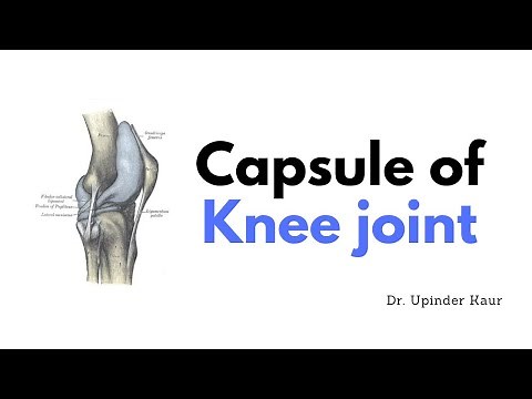 Capsule of Knee joint