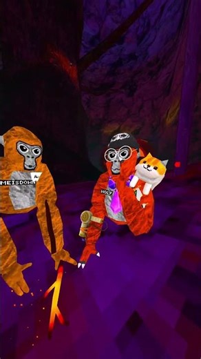 The game was Shut down i had to ban them... #gorillatag