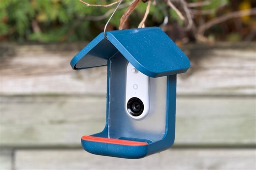 This smart bird feeder is the best way to birdwatch at home