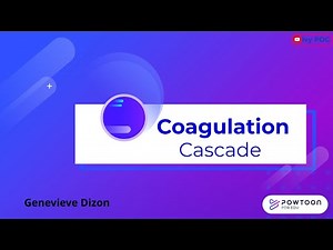 Coagulation Cascade