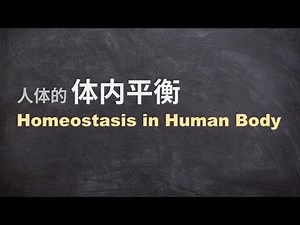 3.1 体内平衡 homeostasis