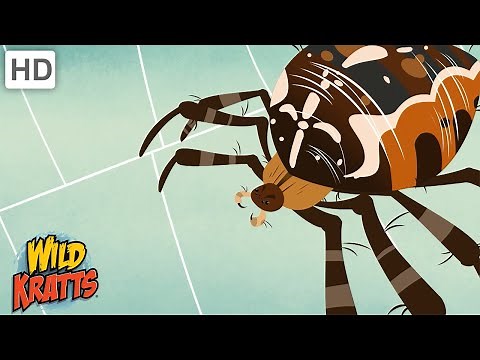 Wild Kratts | Bugs Part 1 | Insects, Arachnids, Worms and other Creepy Crawlies