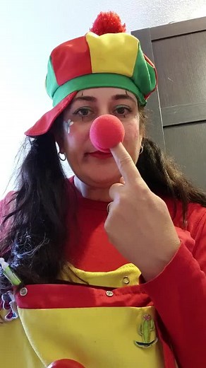 Voorgestelde accounts