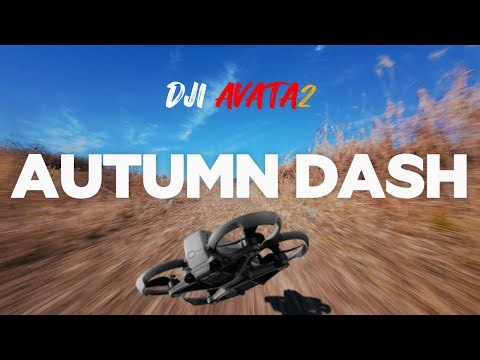 Avata 2 Autumn Dash Freestyle | DJI AVATA2 FPV | Manual mode | ONETAKE