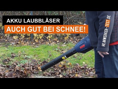 Laubbläser im Test: Vier Modelle im Vergleich!