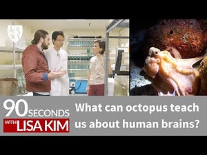 What can octopus teach us about human brains? | 90 Seconds w/ Lisa Kim