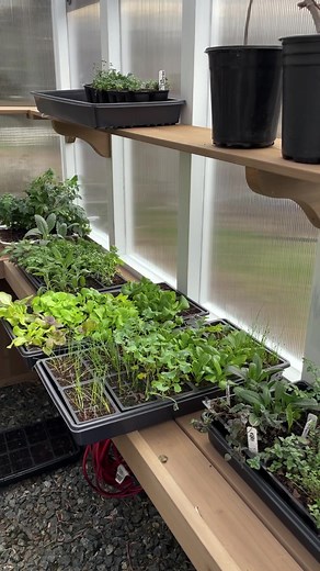 I just about finished the greenhouse kit i bought at $1400 at @costco Follow me and ill show you how to grow a garden! #therustedgarden #greenhouse #costcofinds #costco #costcotiktok #gardening #growfoodnotlawns #growfood