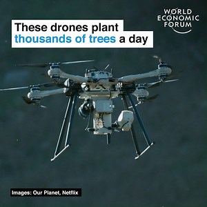 These seed-firing drones plant thousands of trees each day. Watch the latest in our award-winning video collaboration with WWF #Netflix #ShareOurPlanet #VoiceForThePlanet 📕 Read more: https://wef.ch/2LnySJN | World Economic Forum
