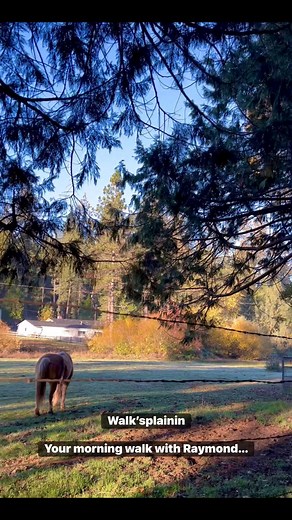 Your daily morning walk. I’ll do all the miles for you so that you can tell your doctor that you are getting your exercise everyday… | Raymond Kinman