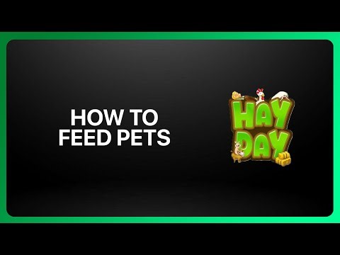 How To Feed Pets In Hay Day 2025! Tutorial